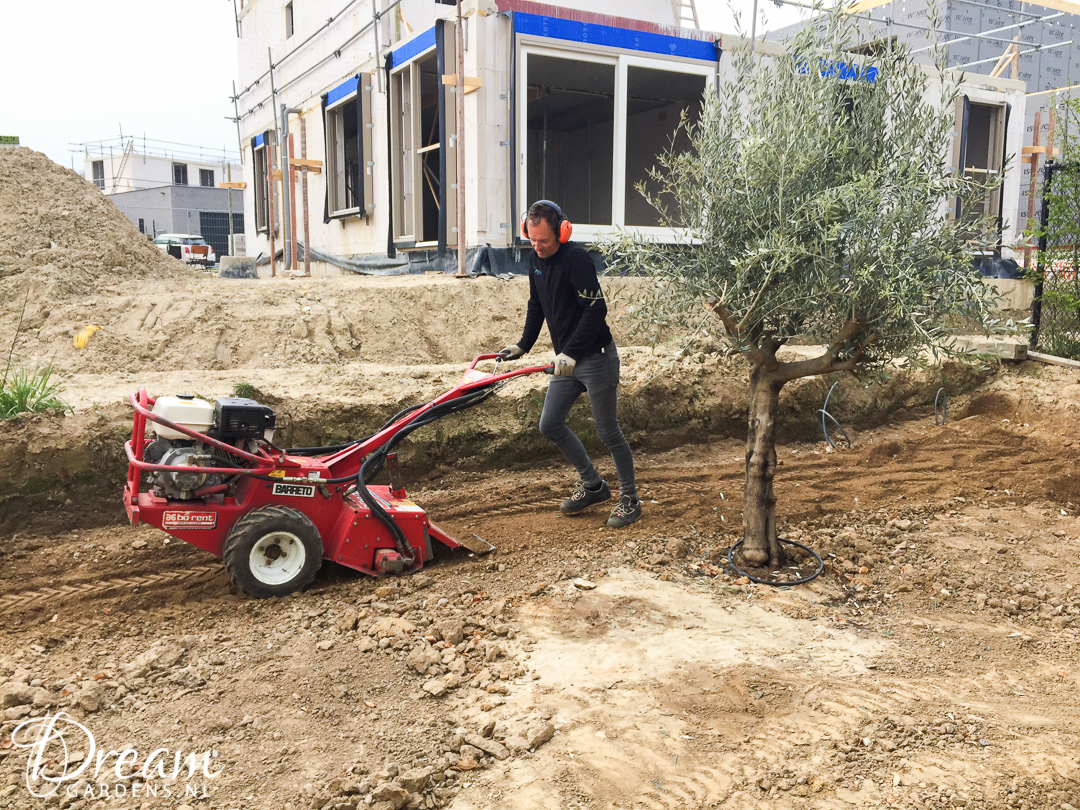 DreamGardens-tuin-onderhoud-ontwerp-aanleg-overkapping